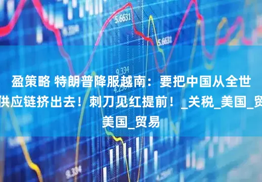 盈策略 特朗普降服越南：要把中国从全世界供应链挤出去！刺刀见红提前！_关税_美国_贸易