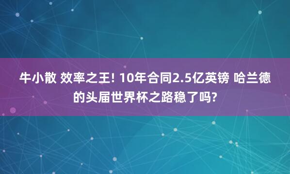 牛小散 效率之王! 10年合同2.5亿英镑 哈兰德的头届世界杯之路稳了吗?