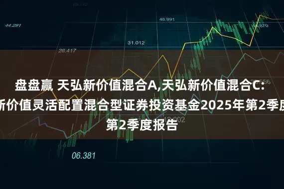 盘盘赢 天弘新价值混合A,天弘新价值混合C: 天弘新价值灵活配置混合型证券投资基金2025年第2季度报告