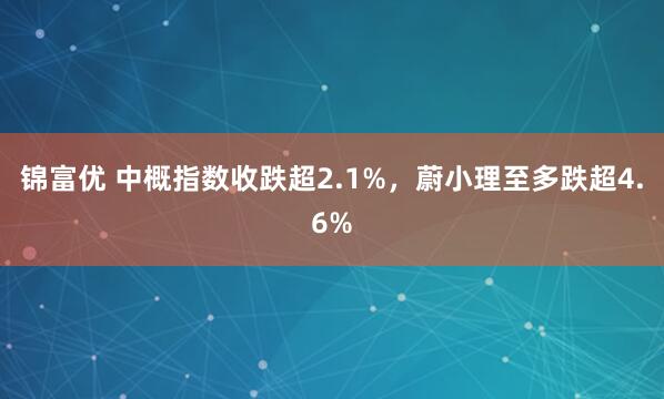 锦富优 中概指数收跌超2.1%，蔚小理至多跌超4.6%