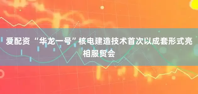 爱配资 “华龙一号”核电建造技术首次以成套形式亮相服贸会