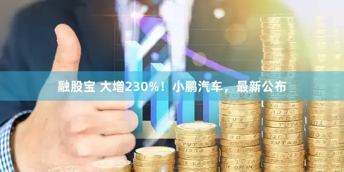 融股宝 大增230%！小鹏汽车，最新公布