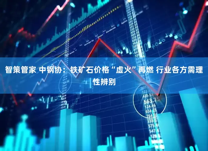 智策管家 中钢协：铁矿石价格“虚火”再燃 行业各方需理性辨别